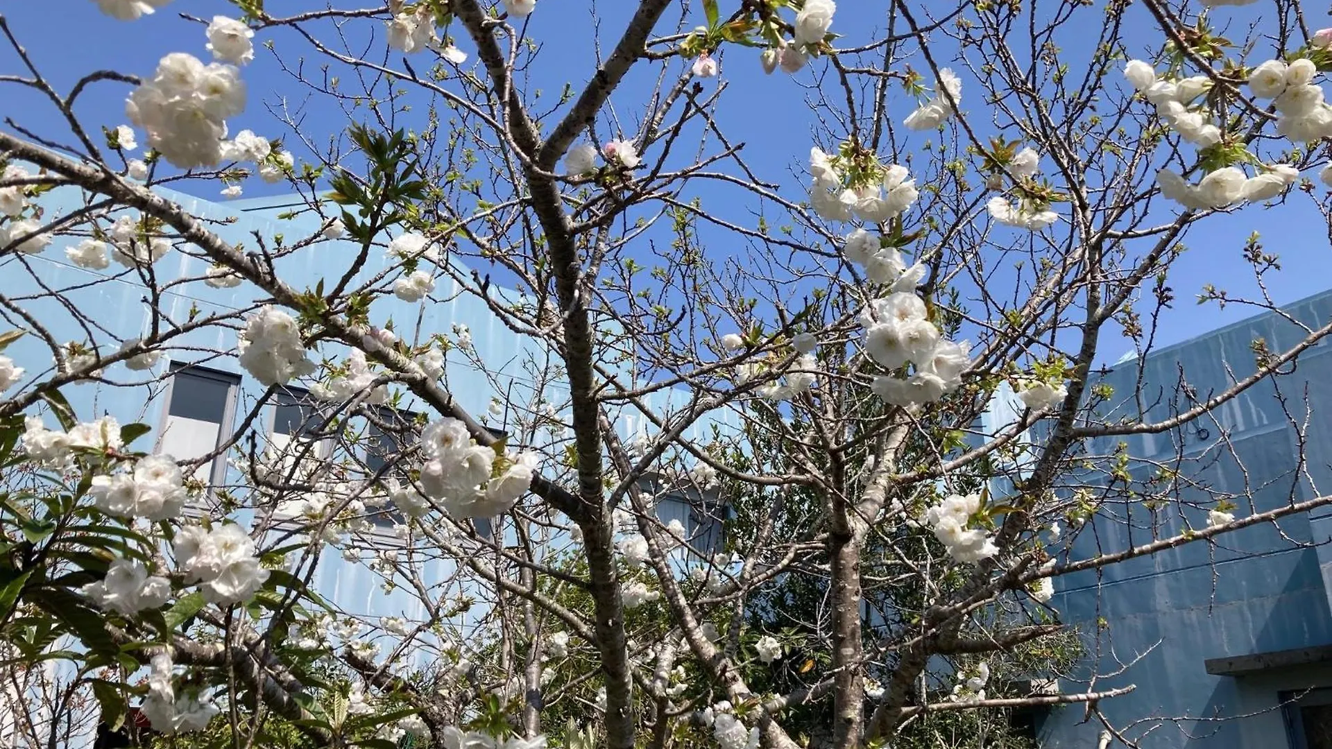 千葉県で泊まれる格安ホテル4選|賢い宿泊ガイド